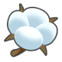COTTON