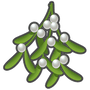 MISTLETOE