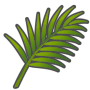 PALM LEAVES