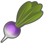 TURNIPS
