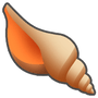 SEA SHELLS